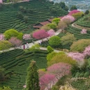 龙岩旅游 缩略图 8