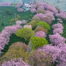 龙岩旅游 缩略图 4