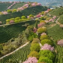 龙岩旅游 缩略图 7