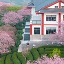 龙岩旅游 缩略图 3