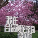 龙岩旅游 缩略图 10