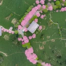 龙岩旅游 缩略图 11