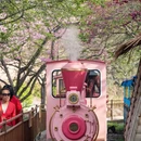 龙岩旅游 缩略图 13