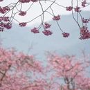龙岩旅游 缩略图 11