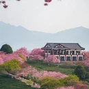 龙岩旅游 缩略图 15
