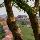 龙岩旅游 缩略图 16