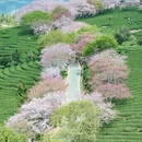 龙岩旅游 缩略图 2