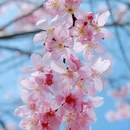 龙岩旅游 缩略图 10