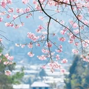 龙岩旅游 缩略图 6
