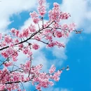 龙岩旅游 缩略图 9