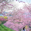 龙岩旅游 缩略图 4