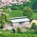 龙岩旅游 缩略图 8