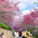 龙岩旅游 缩略图 7