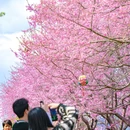 龙岩旅游 缩略图 5