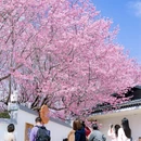 龙岩旅游 缩略图 2