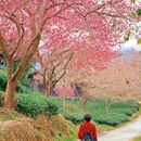 福州旅游 缩略图 2