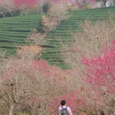 福州旅游 缩略图 1