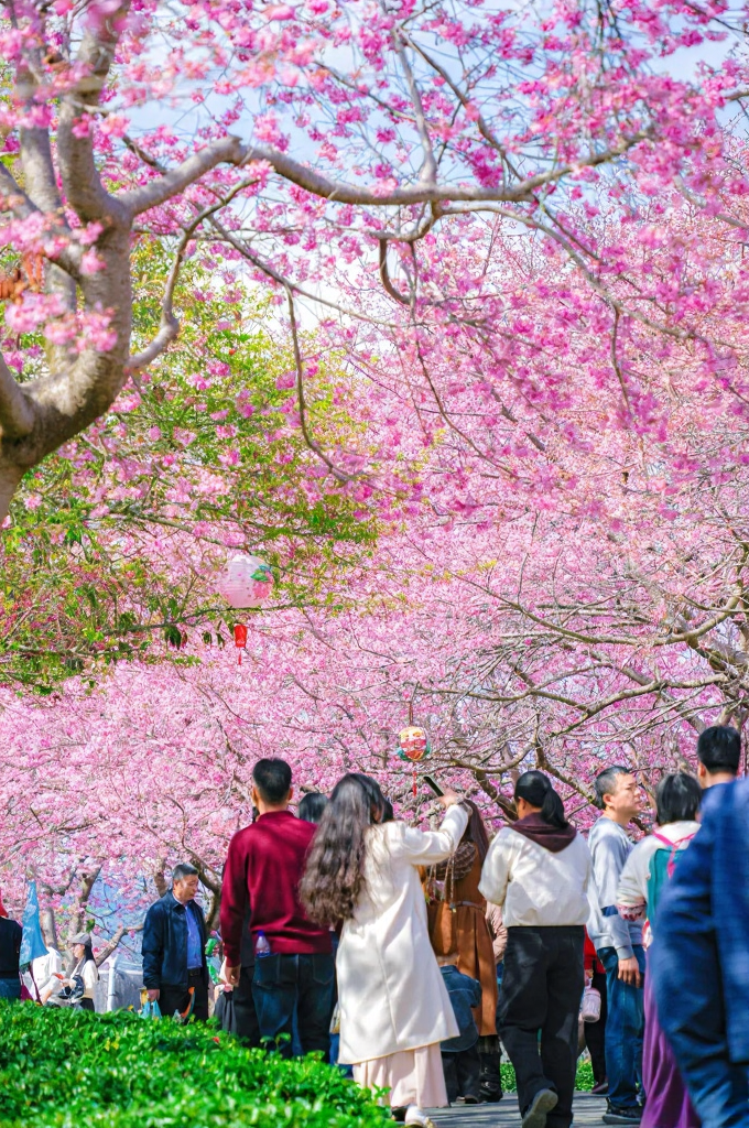 龙岩旅游