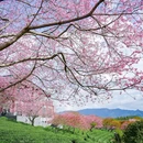 龙岩旅游 缩略图 9