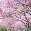 龙岩旅游 缩略图 3