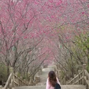 福州旅游 缩略图 4