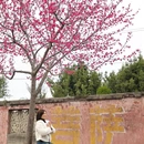 福州旅游 缩略图 6