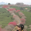 福州旅游 缩略图 5