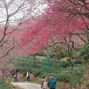 福州旅游 缩略图 7