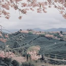 龙岩旅游 缩略图 2