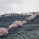 龙岩旅游 缩略图 7