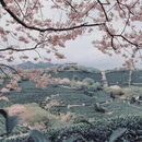 龙岩旅游 缩略图 8