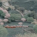 龙岩旅游 缩略图 5