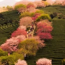 龙岩旅游 缩略图 1