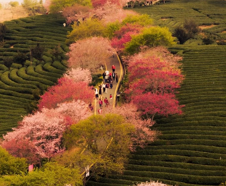 龙岩旅游 1