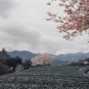龙岩旅游 缩略图 6
