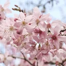 龙岩旅游 缩略图 2