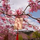 龙岩旅游 缩略图 5