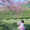 龙岩旅游 缩略图 3