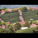 龙岩旅游 缩略图 7