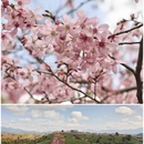 龙岩旅游 缩略图 9
