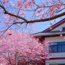 龙岩旅游 缩略图 1