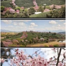 龙岩旅游 缩略图 8