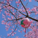 龙岩旅游 缩略图 2