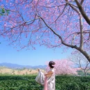 龙岩旅游 缩略图 4