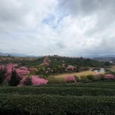 龙岩旅游 缩略图 3