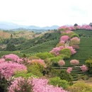 龙岩旅游 缩略图 1