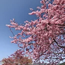 龙岩旅游 缩略图 6