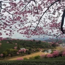 龙岩旅游 缩略图 5