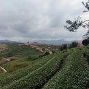 龙岩旅游 缩略图 6