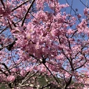 龙岩旅游 缩略图 5
